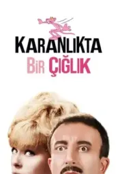 Karanlıkta Bir Çığlık